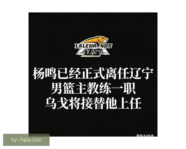 终结四连败辽宁乌戈称团队胜利