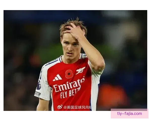 厄德高称目前膝盖剧痛伤势不重 厄德高称目前膝盖剧痛伤势不重