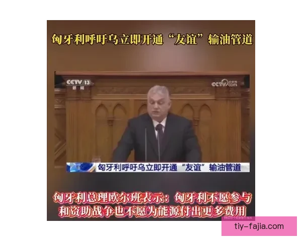 基辅风雪中的盛宴与脆弱将军往事